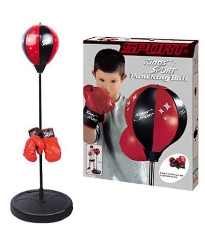 Boxing Punching Bag