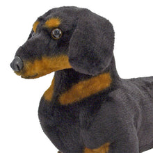 Cargar imagen en el visor de la galería, Dachshund
