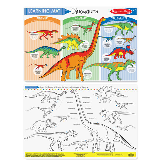 Dinosaurs Learning Mat