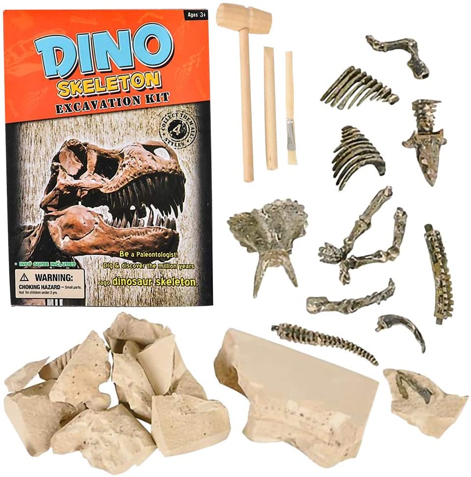 Dino Skeleton Excavation kit